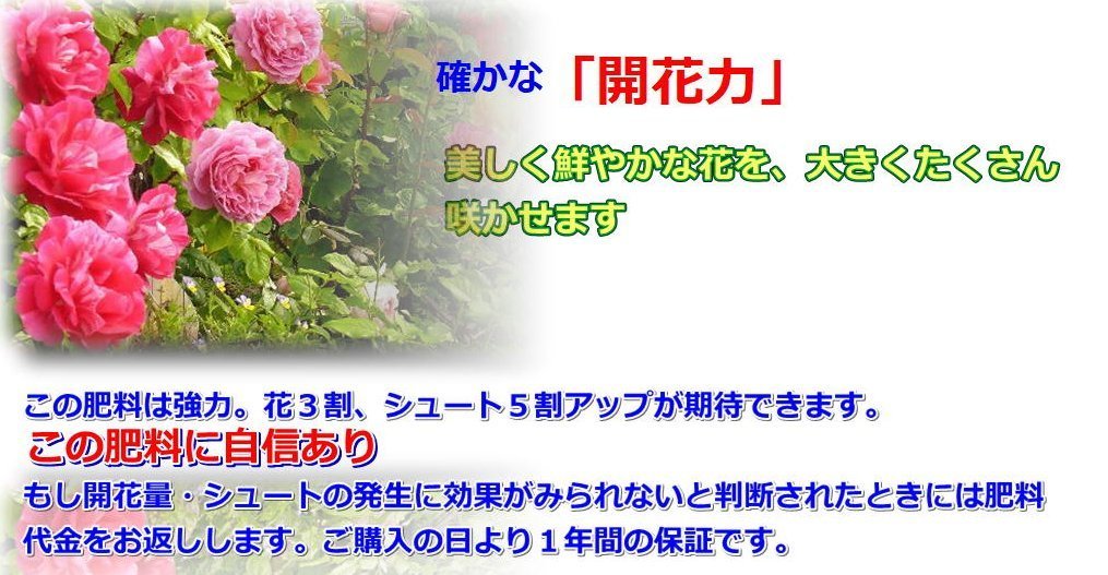 バラ専用肥料ローズサポーター