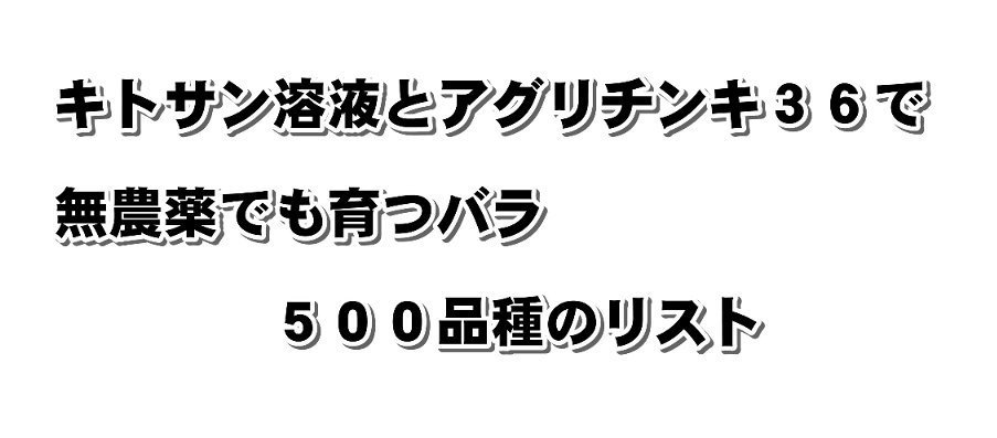 確実に農薬不使用の栽培ができるバラ