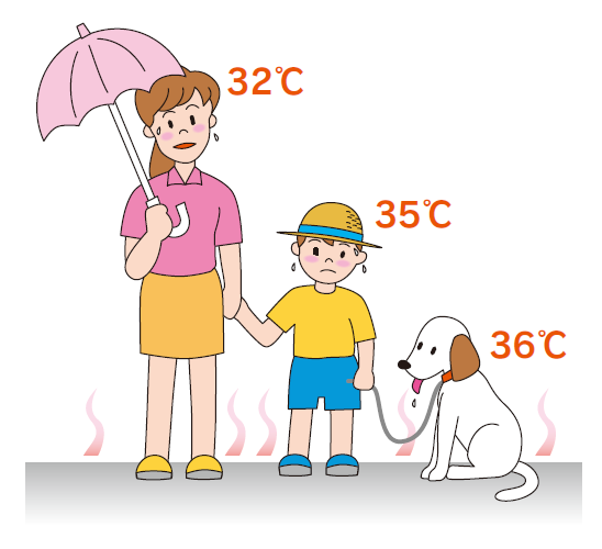 バラの暑さ対策していますか