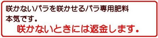 バラの花は３０％アップ